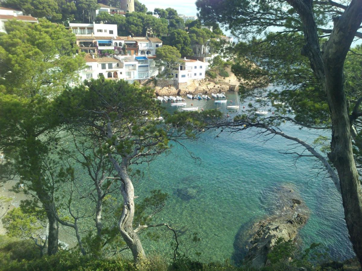 Cap Sa Sal Begur Primera Linea De Mar Con Terraza エクステリア 写真